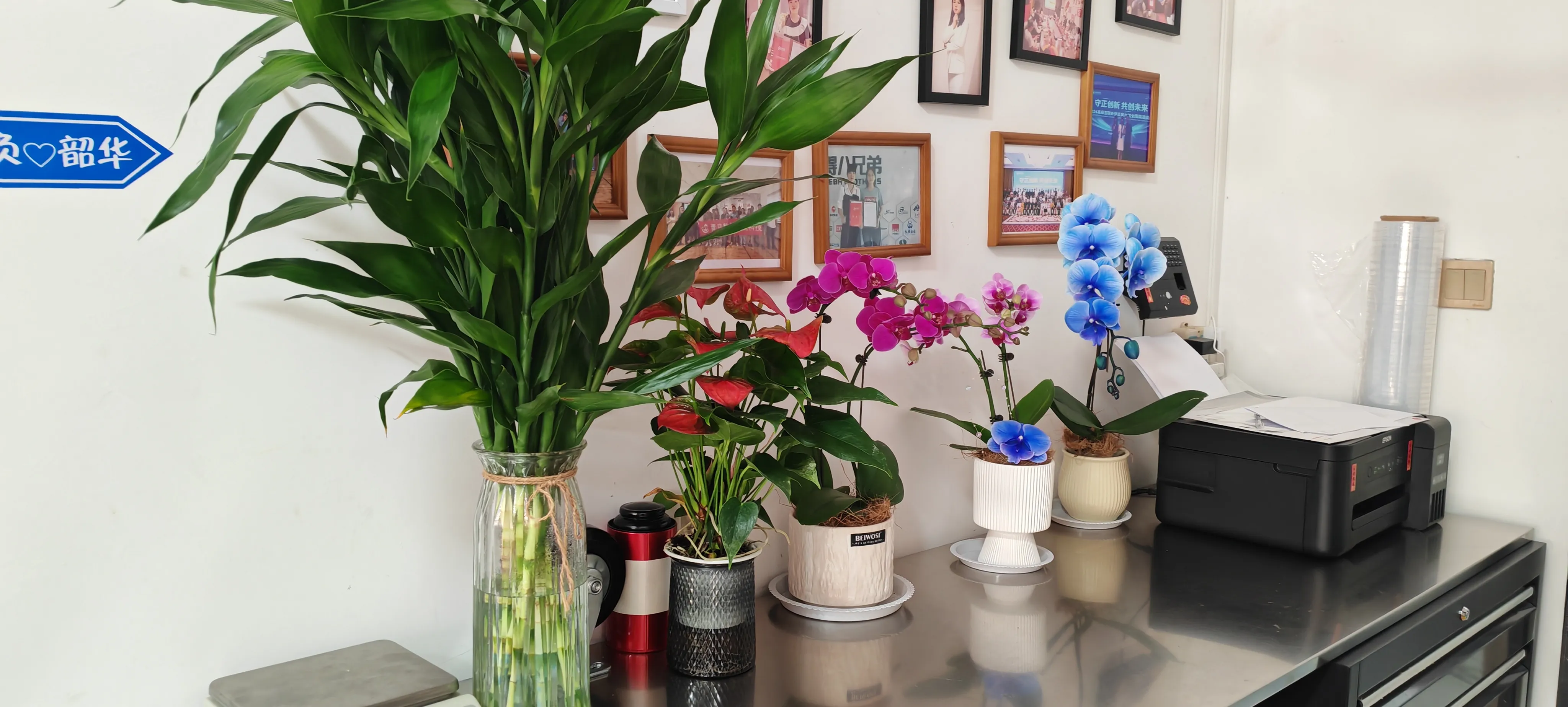 Selamat datang rakan -rakan baru JoJo Pack!