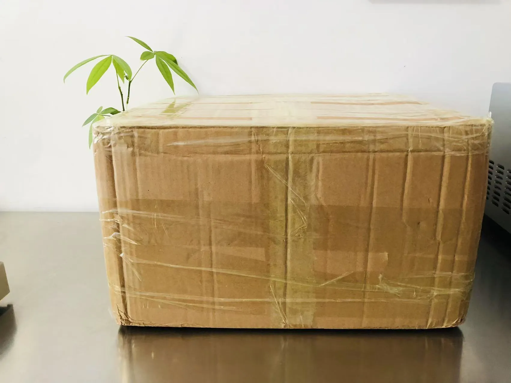 Pelekat Epoksi Pepejal Kartun Kini Dalam Perjalanan ke Jepun